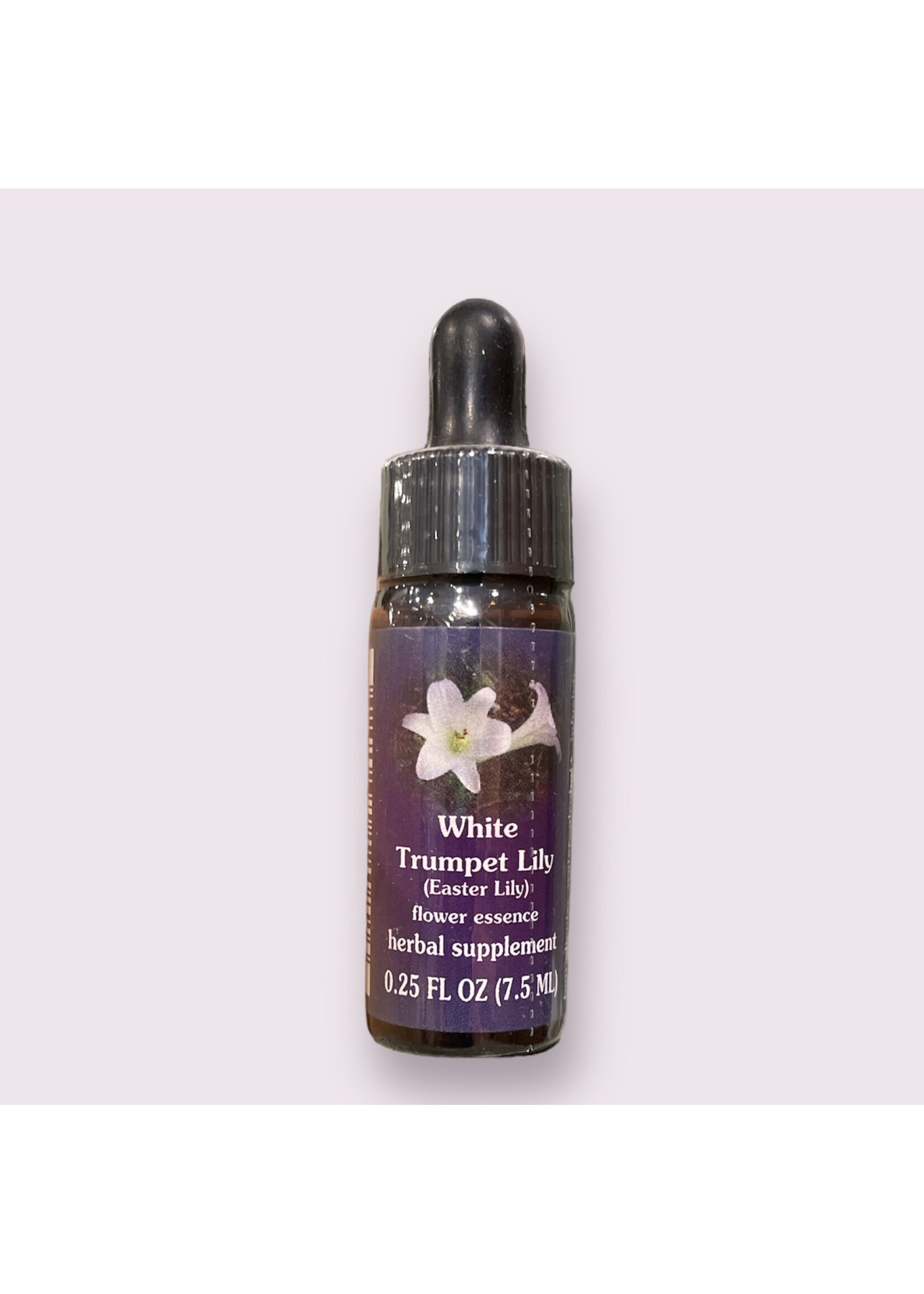 White Trumpet Lily| American Flower Essence