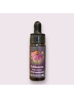 Echinacea | American Flower Essence
