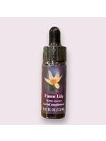Fawn Lily | American Flower Essence