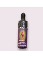 Fuchsia Flower Essence
