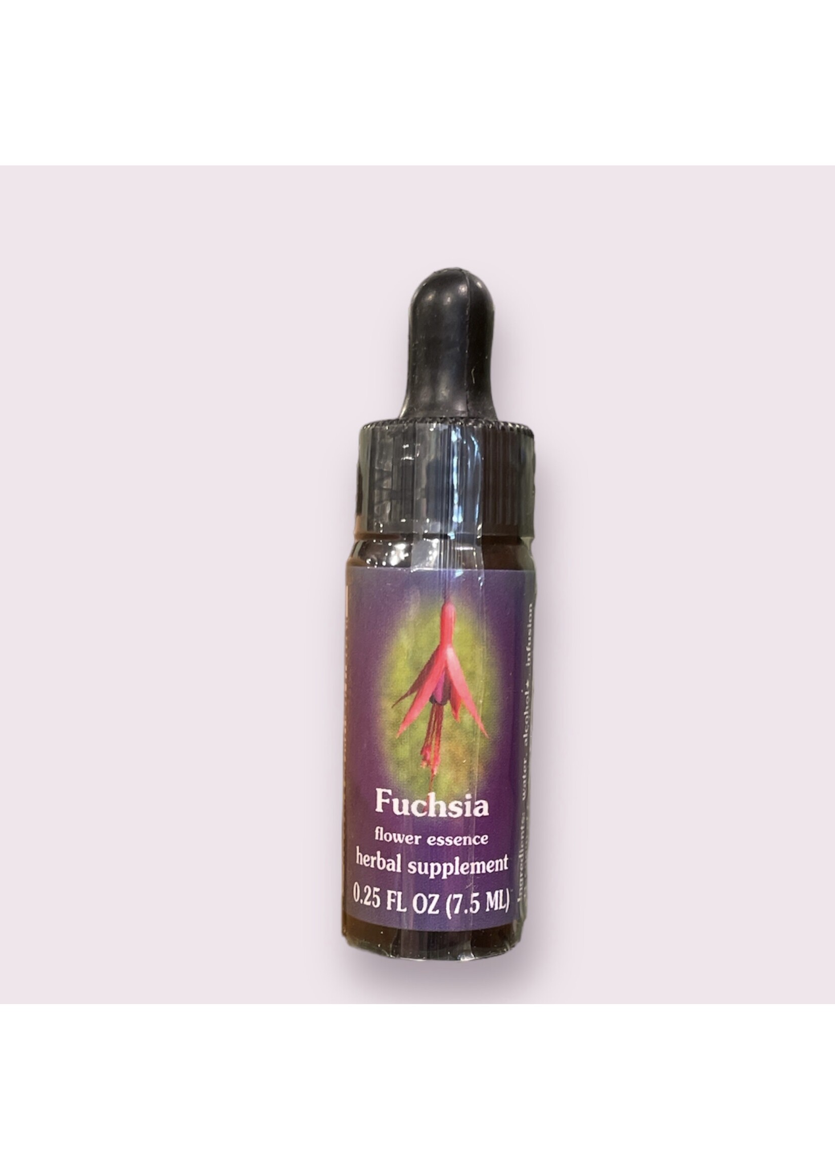 Fuchsia Flower Essence