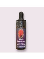Indian Paint Brush | American Flower Essence