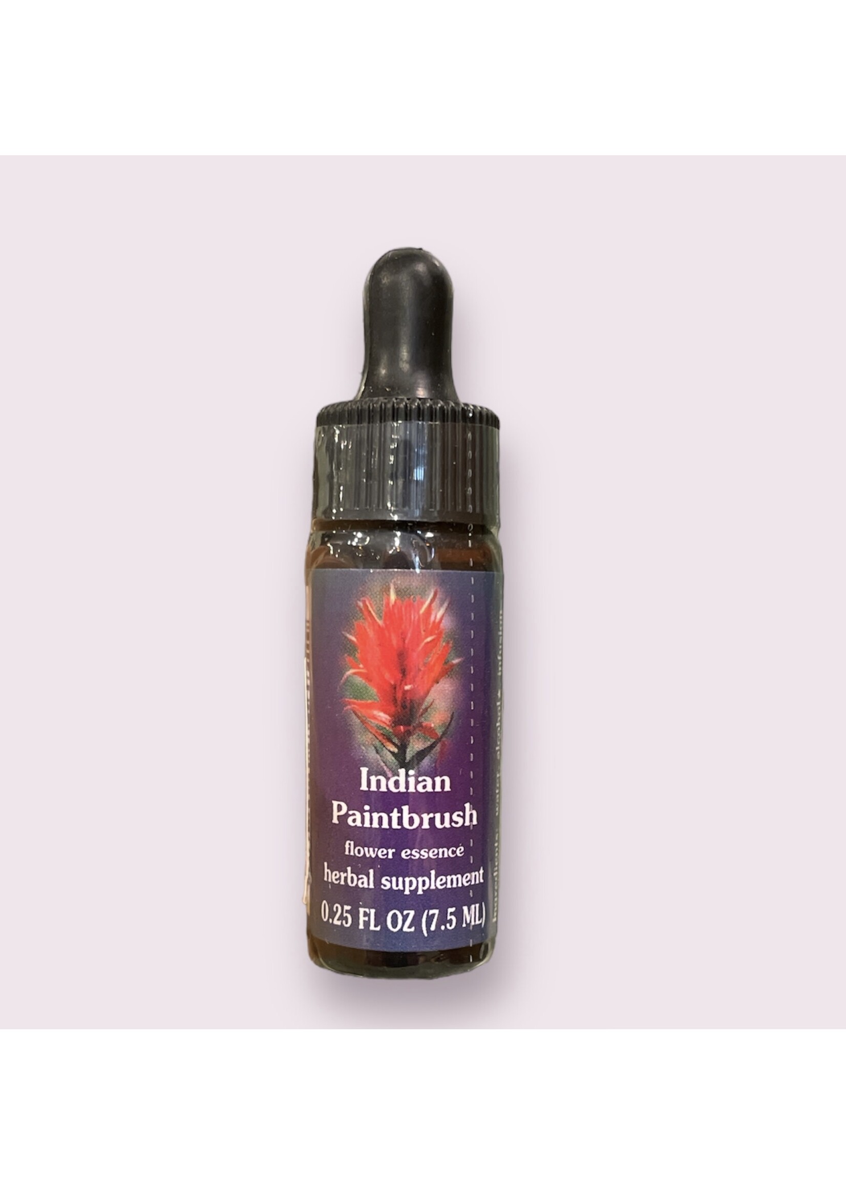 Indian Paint Brush | American Flower Essence