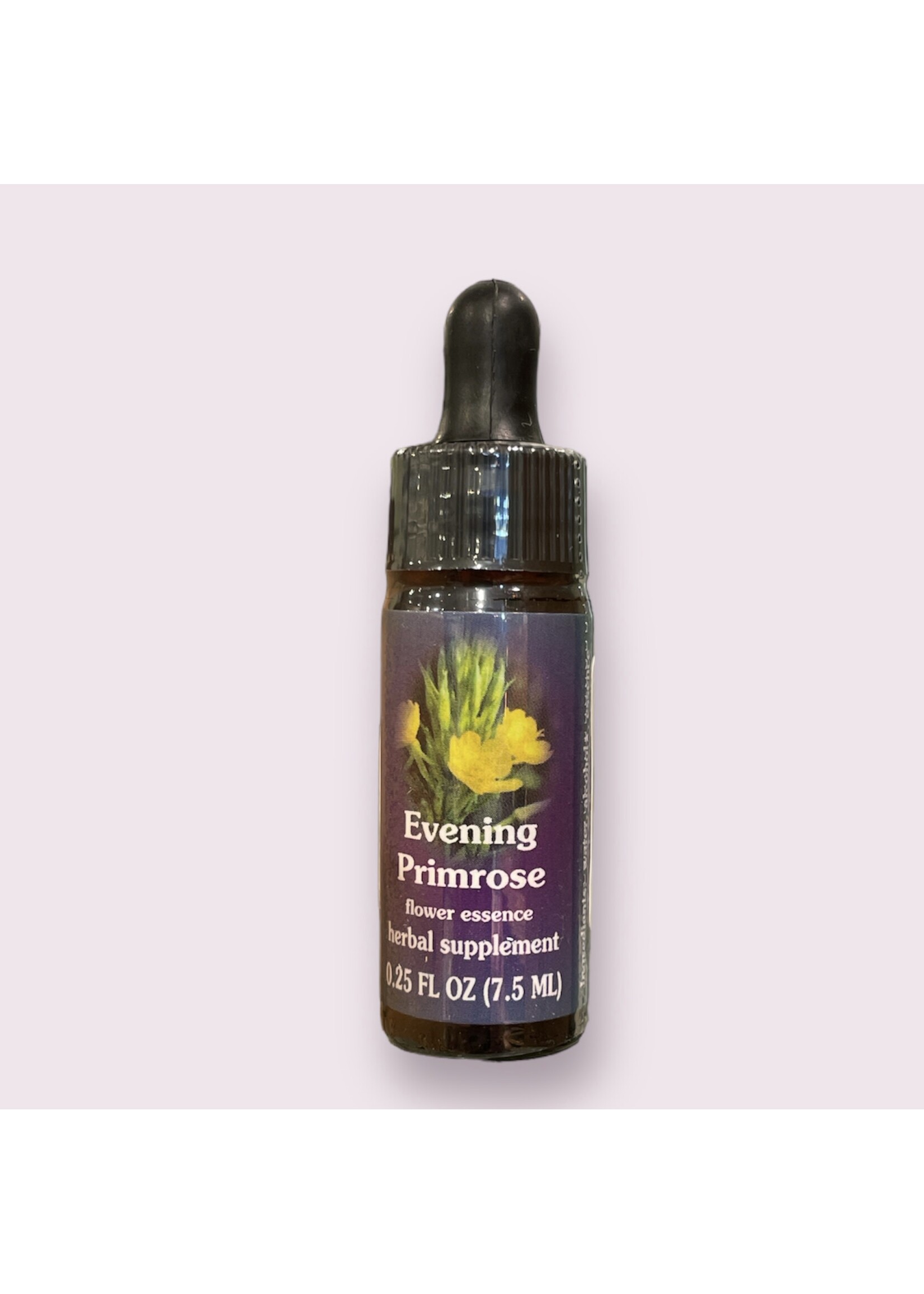 Evening Primrose | American Flower Essence