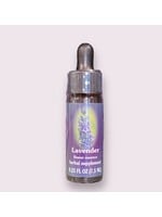 Lavender | American Flower Essence