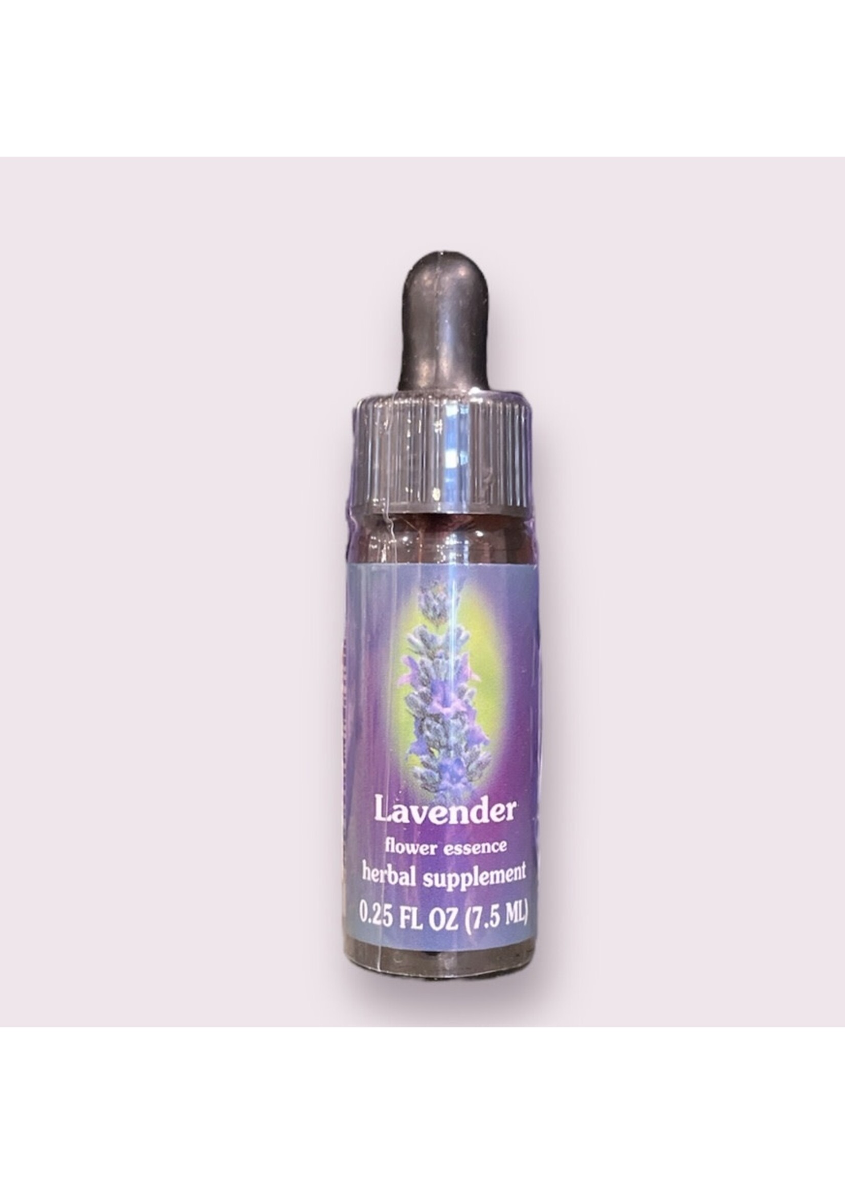 Lavender | American Flower Essence