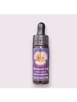 Mariposa Lily Flower Essence