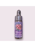 Milkweed | American Flower Essence