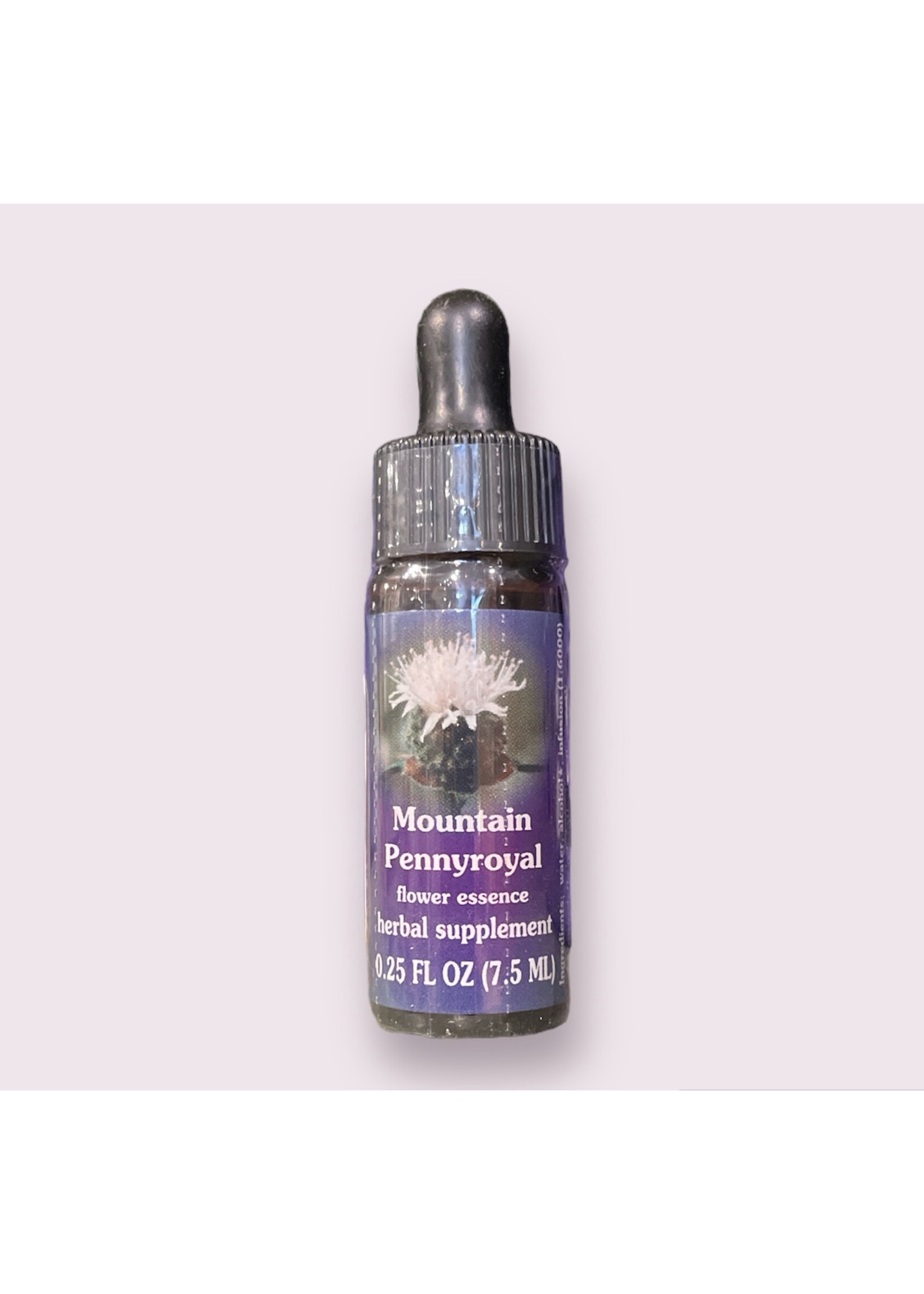 Mountain Pennyroyal | American Flower Essence