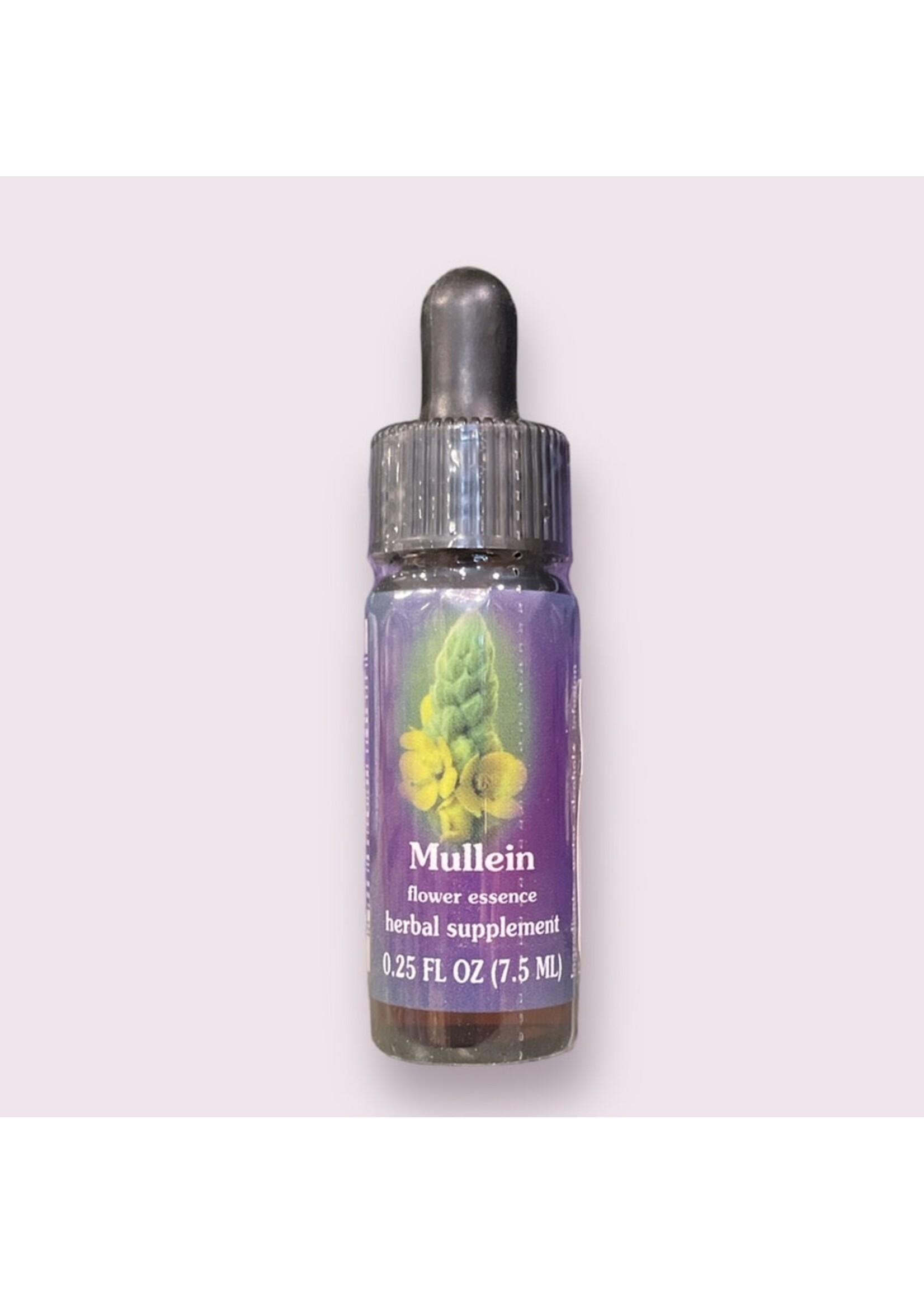 Mullein | American Flower Essence