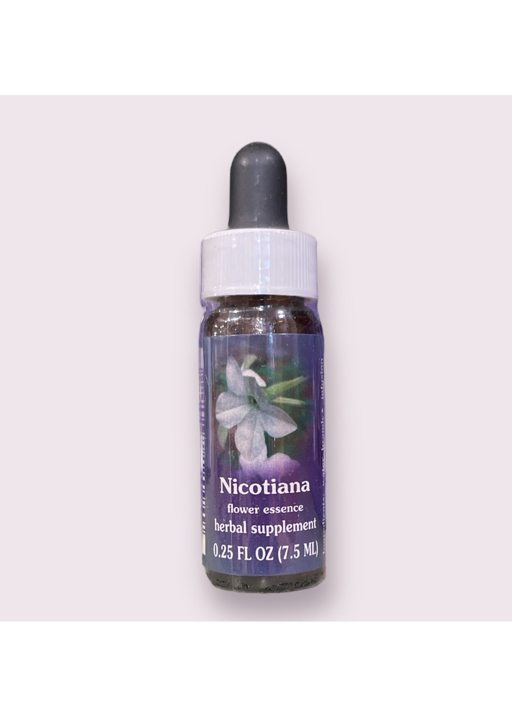 Nicotiana | American Flower Essence