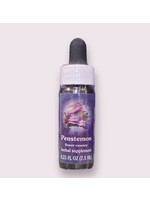 Penstemon | American Flower Essence