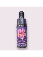 Pink Monkeyflower | American Flower Essence