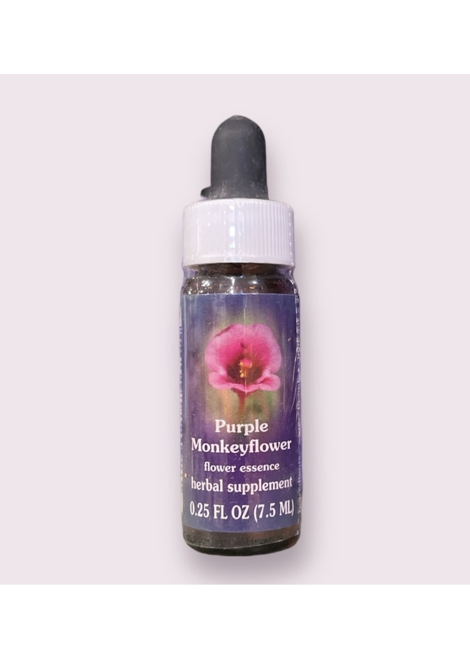 Purple Monkeyflower | American Flower Essence