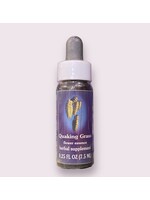 Quaking Grass | American Flower Essence