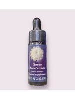 Queen Anne's Lace | American Flower Essence