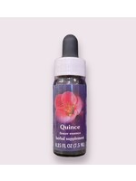 Quince | American Flower Essence
