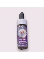 Saguaro | American Flower Essence