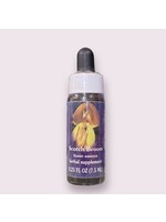 Scotch Broom | American Flower Essence