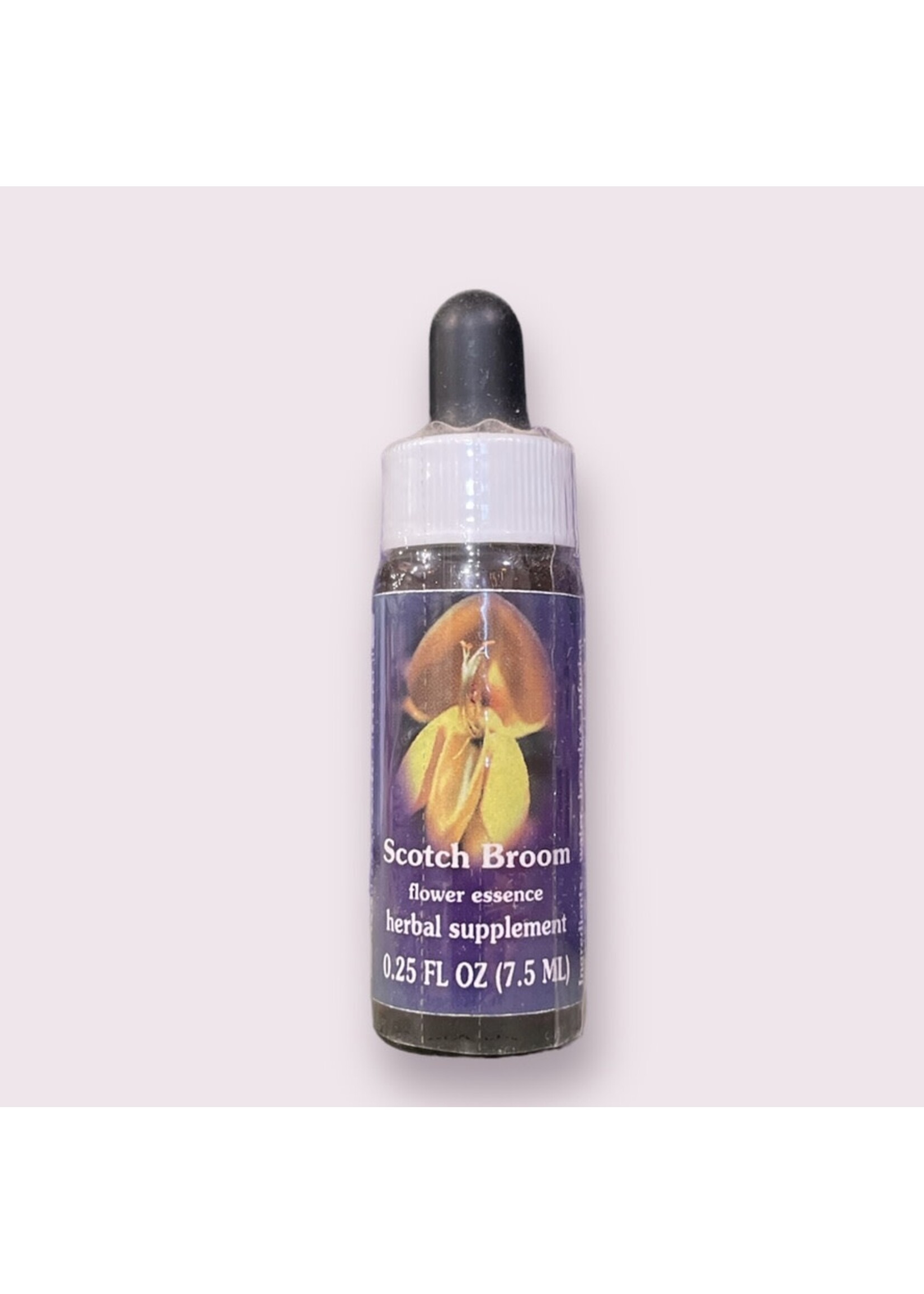 Scotch Broom | American Flower Essence