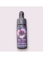 Star Tulip | American Flower Essence