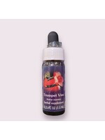 Trumpet Vine | American Flower Essence