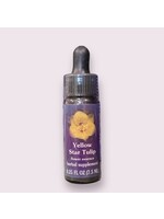 Yellow Star Tulip | American Flower Essence
