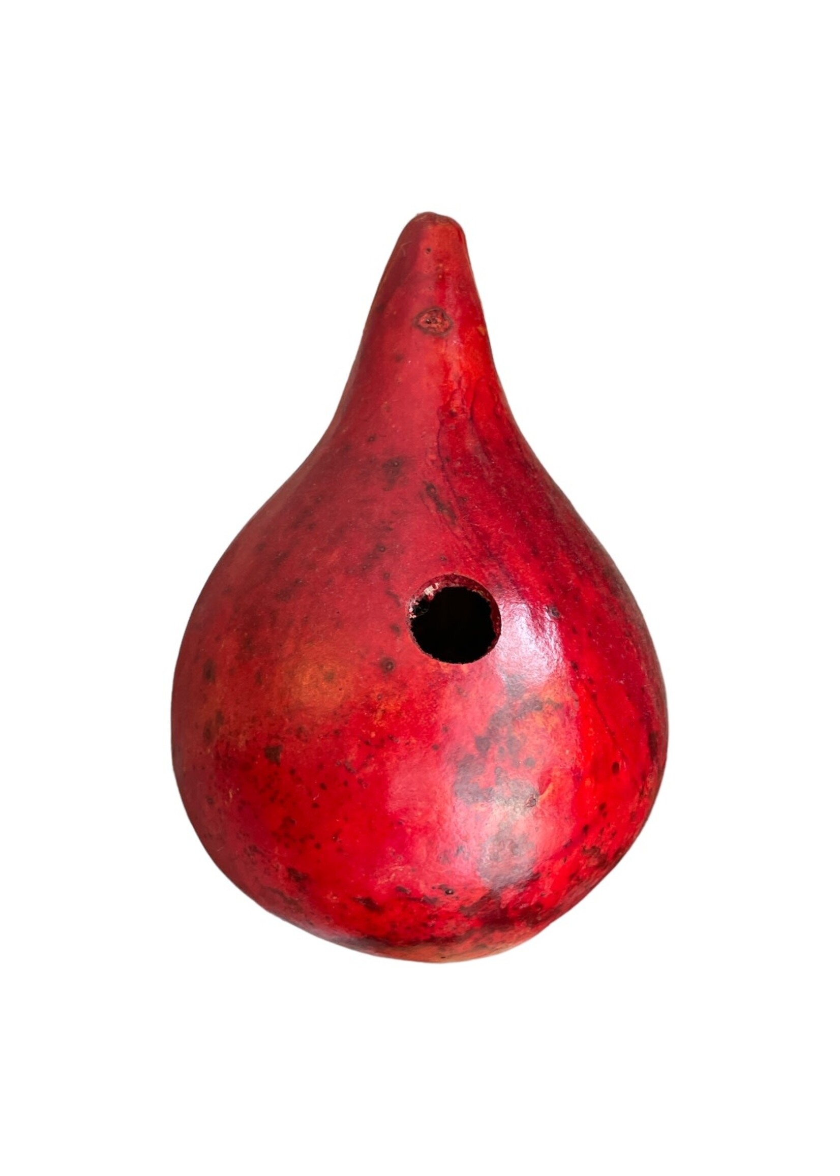 Birdhouse Gourd