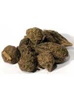 High John the Conqueror ( Ipomoea jalapa) | Whole Root