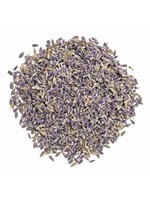 Lavender Flowers | Lavendula augustifolia | C/S Buds