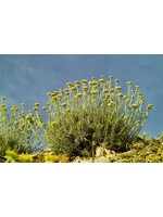 Life Everlasting |Helichrysum stoechas | 1oz Organic Essential Oil