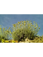 Life Everlasting |Helichrysum Italicum | 2.5mL -1/12oz Organic Essential Oil