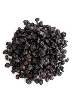Elderberry  Sambucus nigra | Whole Organic