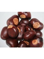 Buckeye | Aesculus otandra | Whole Organic