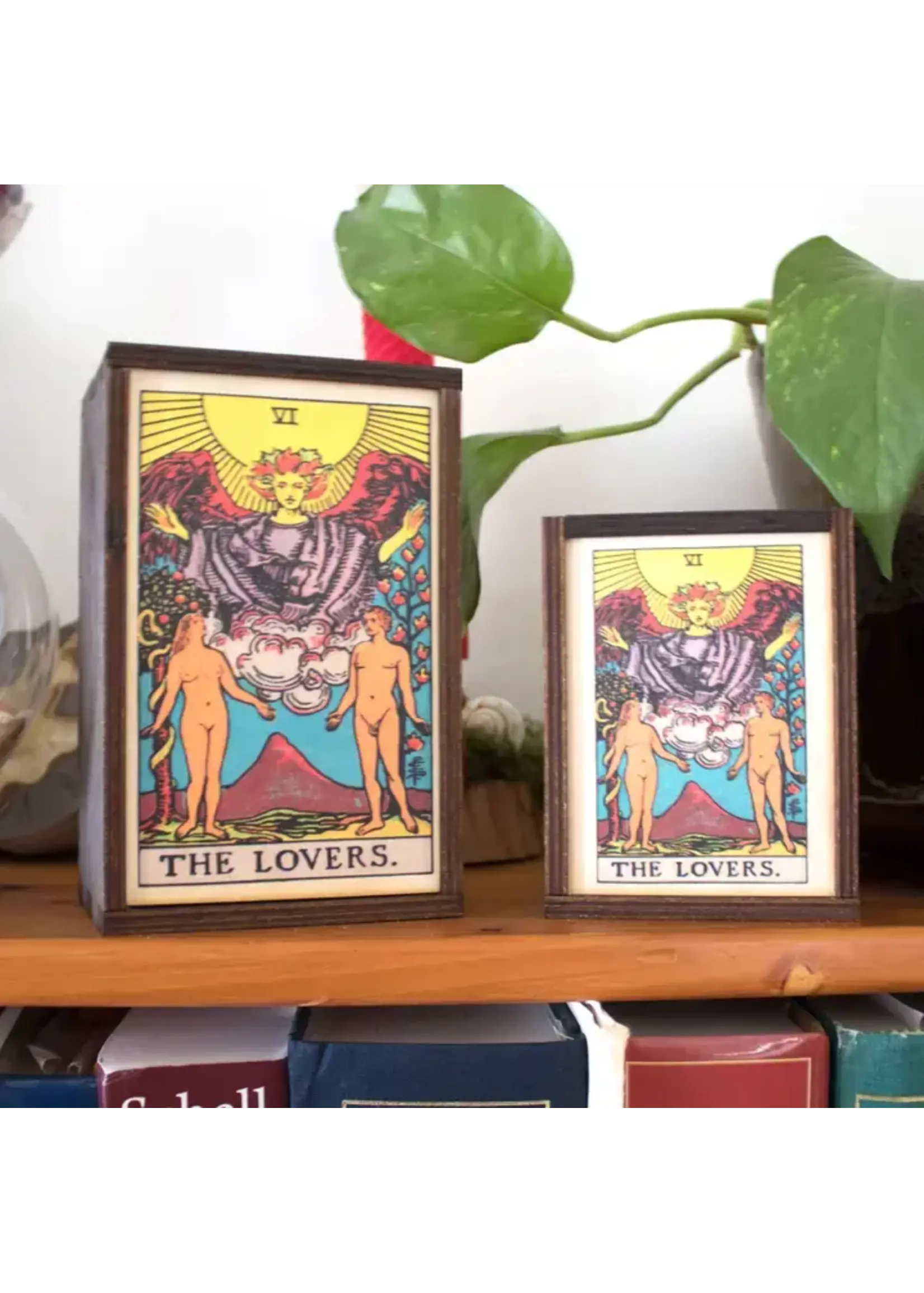 Box The Lovers