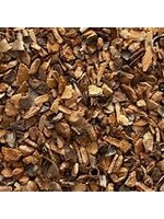 Wild Cherry Bark