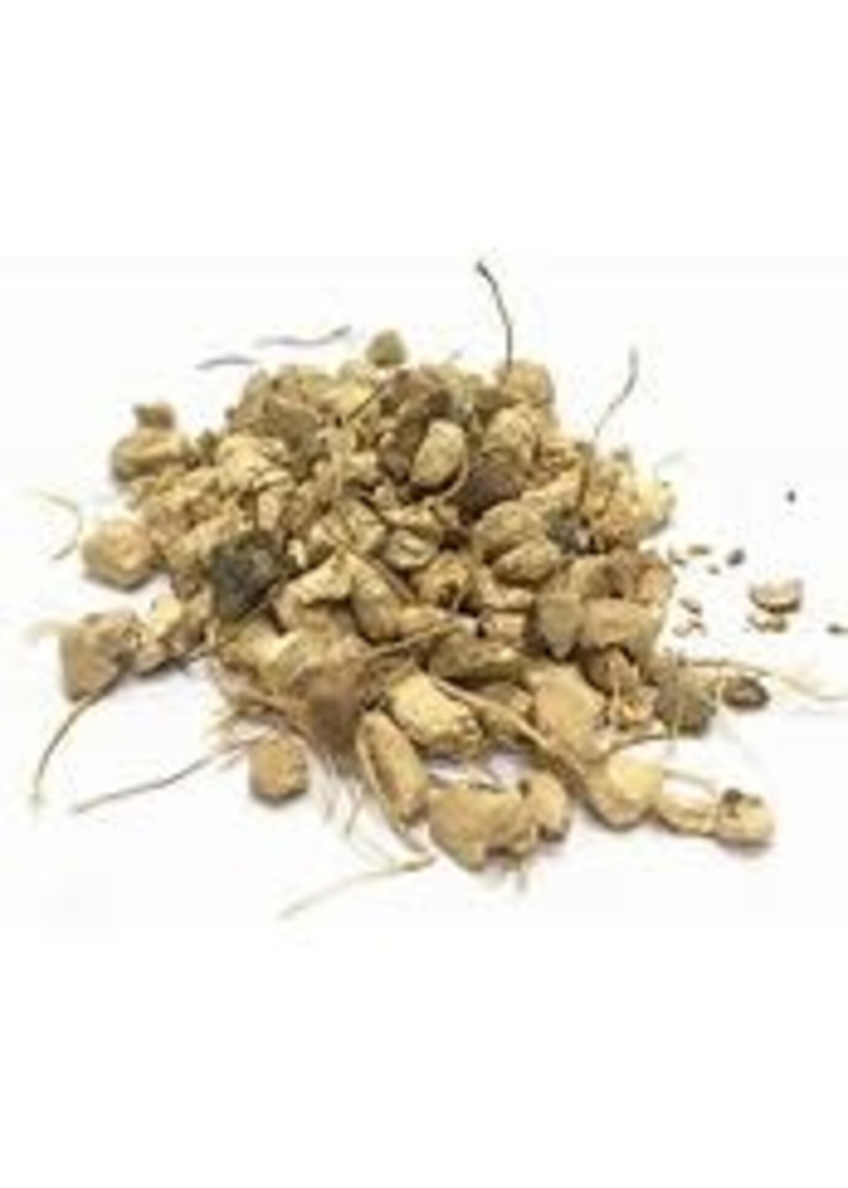 Wild Yam Root c/s