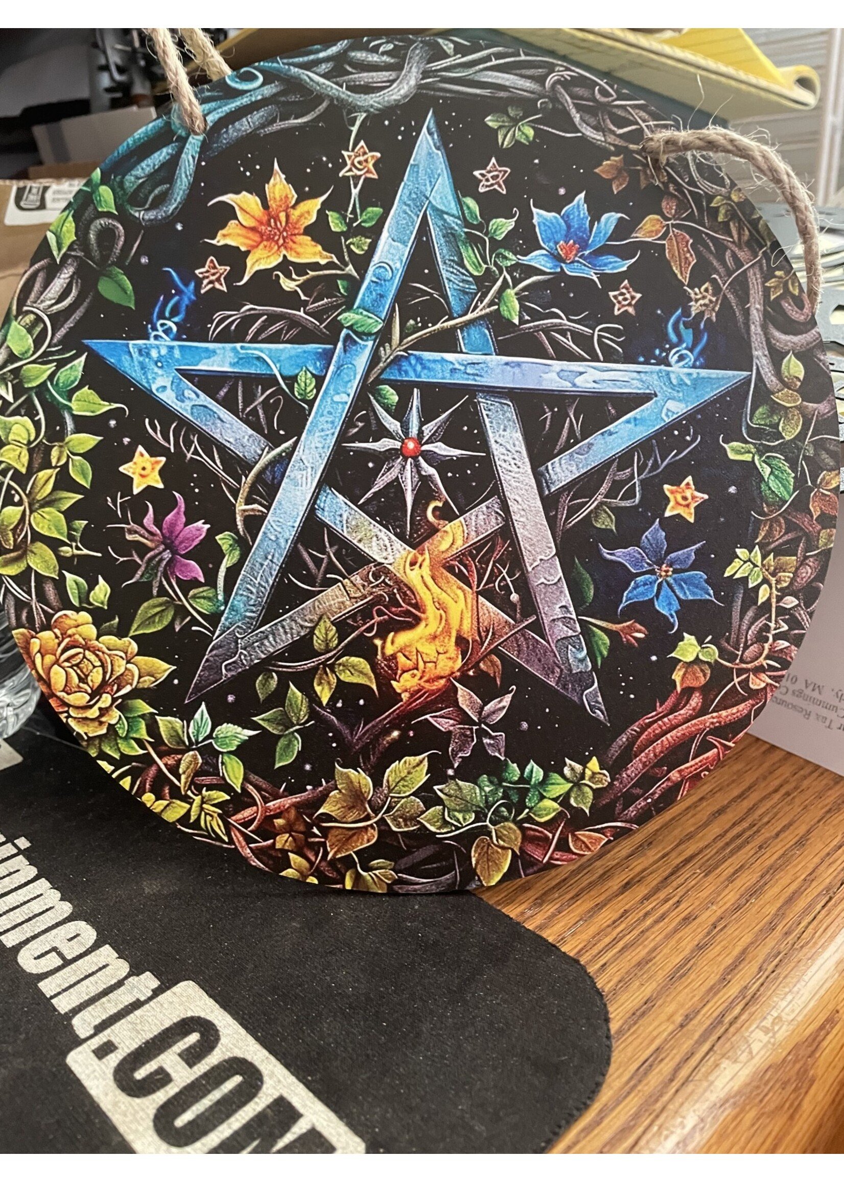 Pentacle  Springy Wall Art  8nch