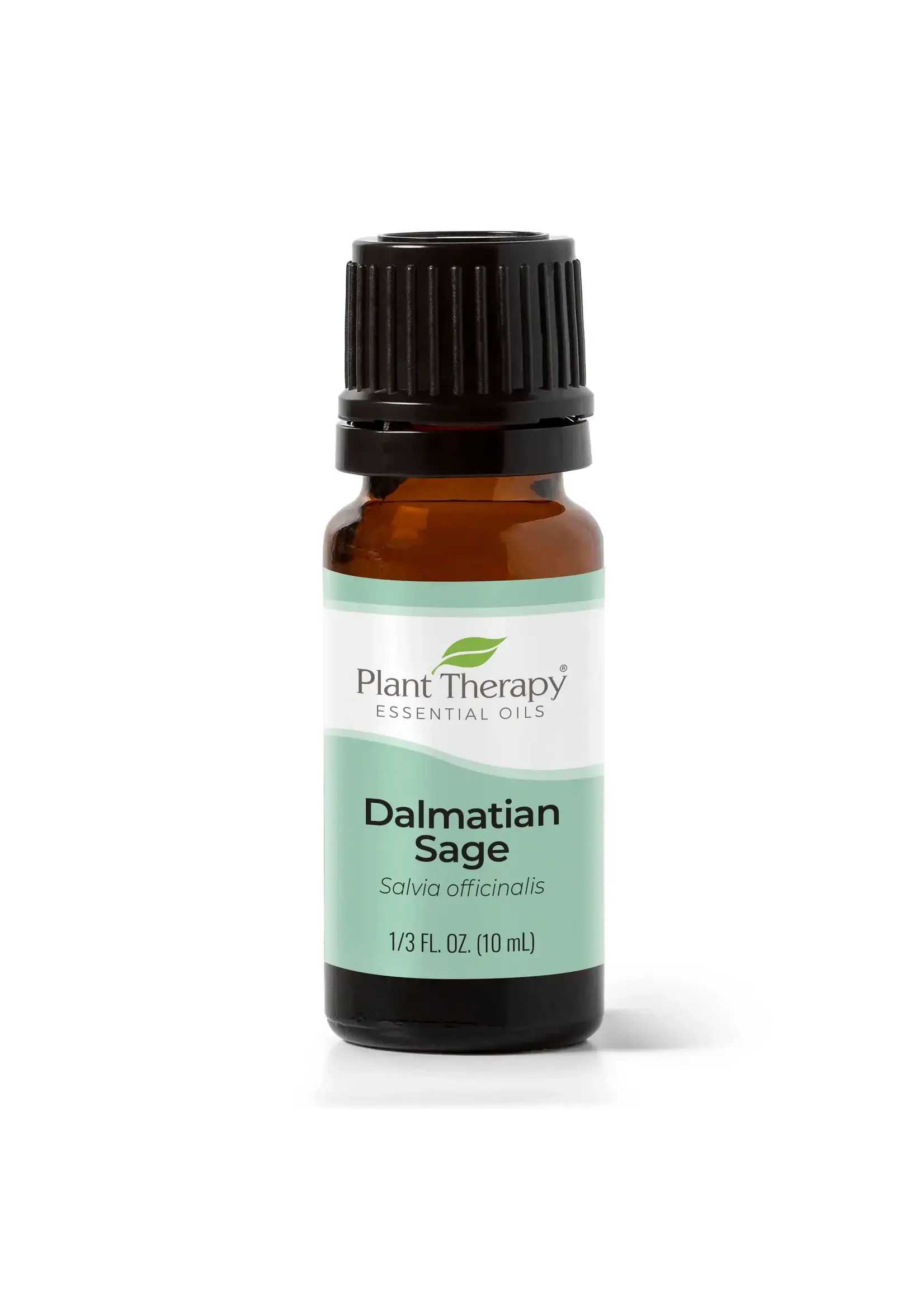 Sage Dalmation (Salvia officinalis) Essentil Oil  (10mL 1/3 oz)