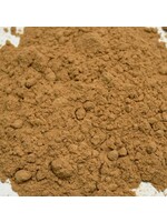 Yellow Sandalwood Powder | Santalum album