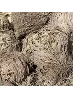 Rose of Jericho