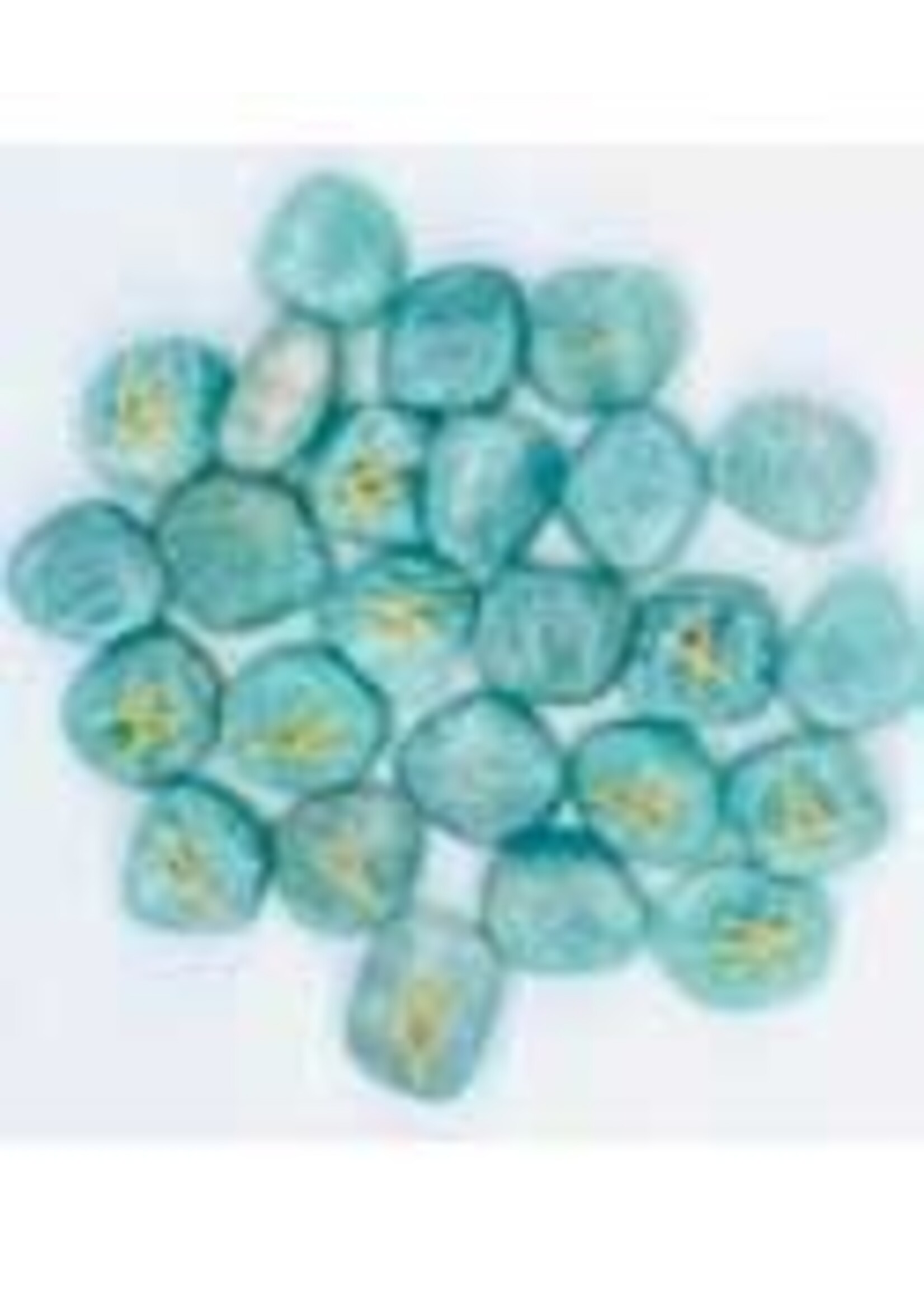 Rune Set Amazonite