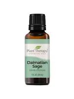 Sage Dalmation Essential Oil (