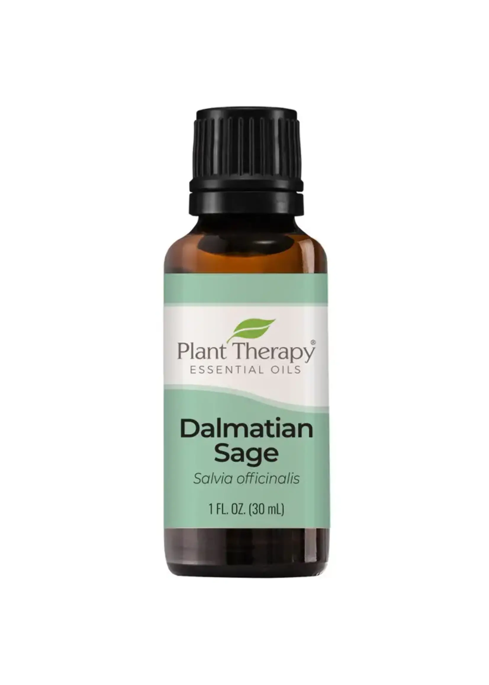 Sage Dalmation Essential Oil (