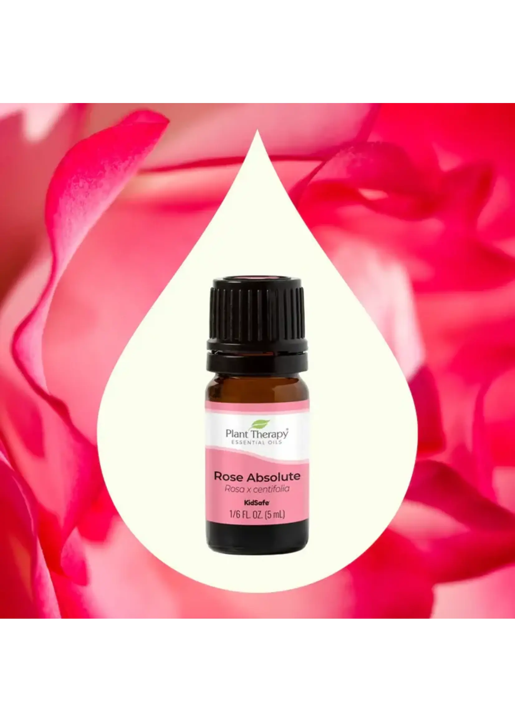Rose Absolute Essential Oil (5mL-1/6oz.)