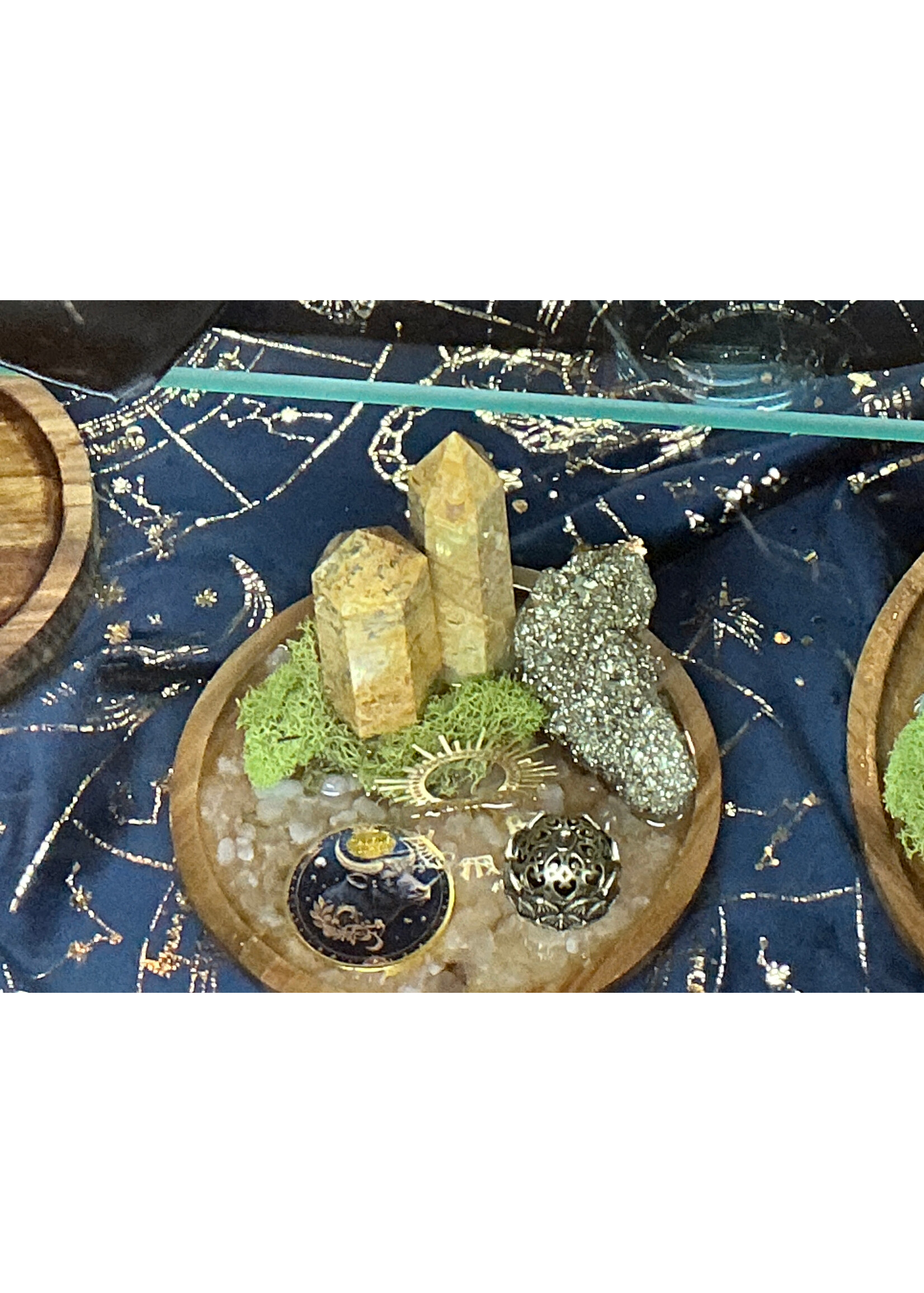 Zodiac burner garden