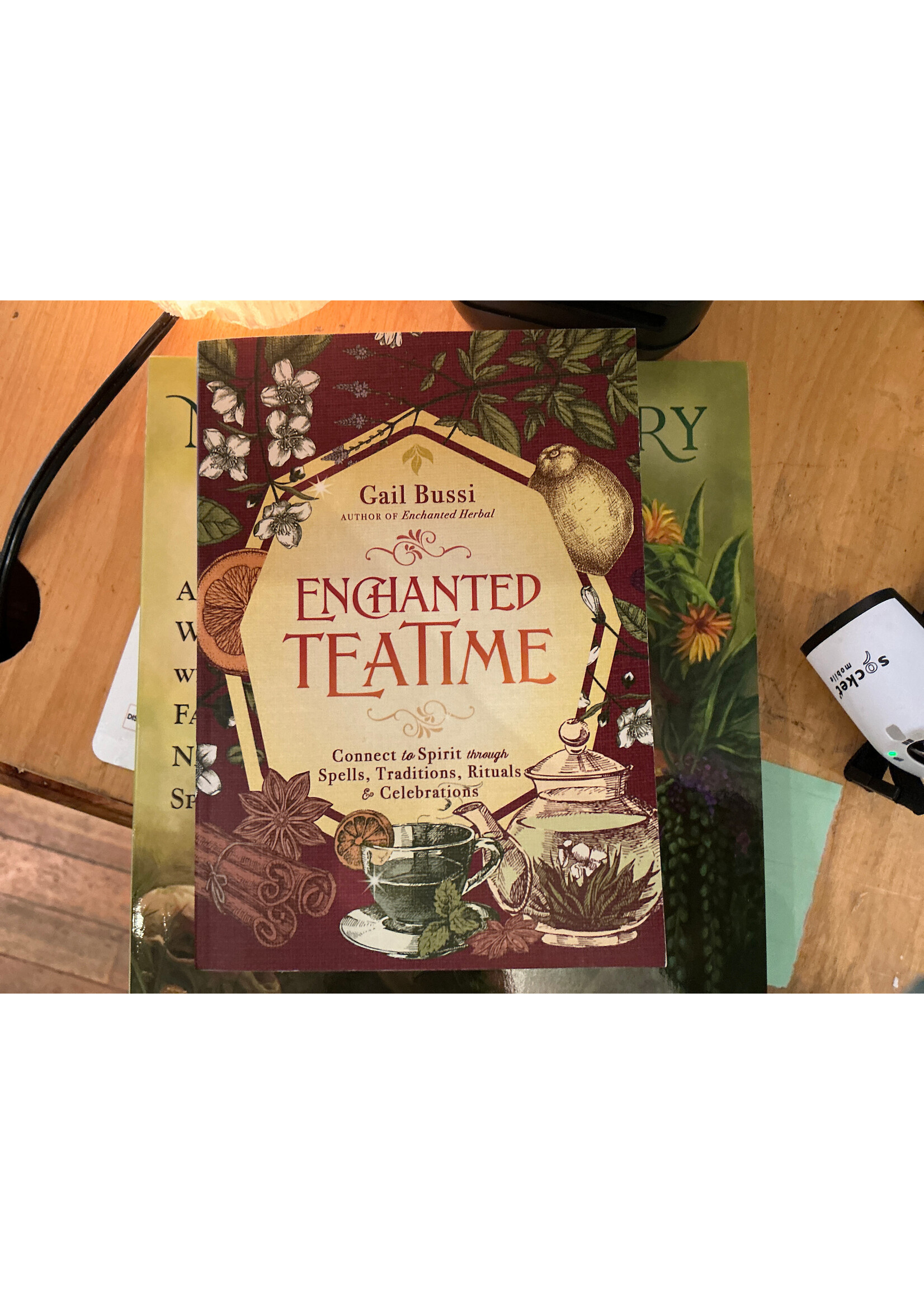 enchanted teatime gail bussi