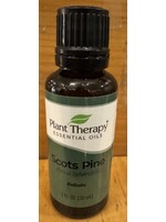 Scots pine 1/3 oz. -10mL Plant Therapy
