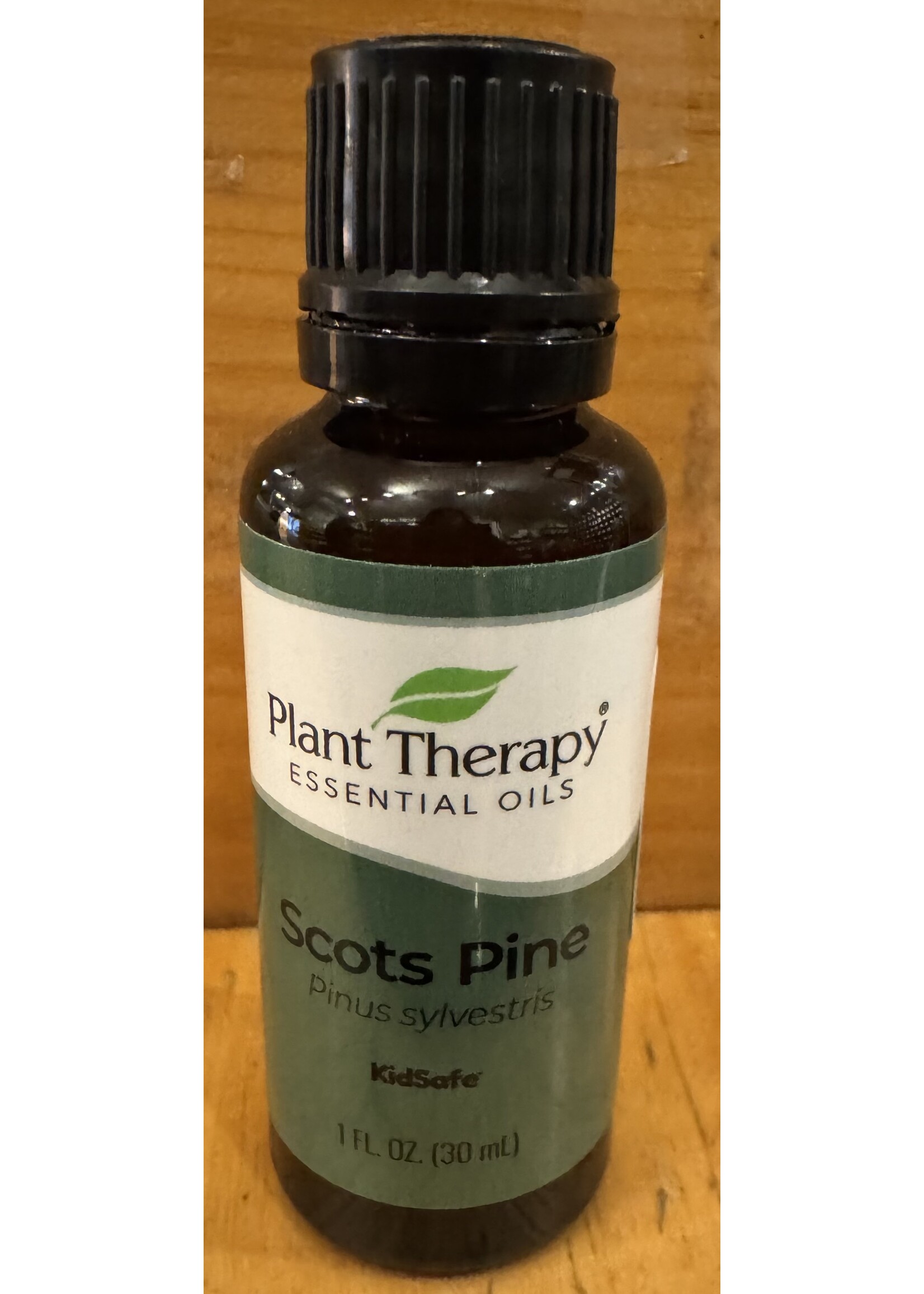 Scots pine 1/3 plant therapy
