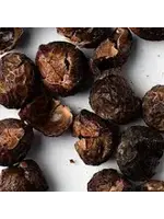 Soap Nuts